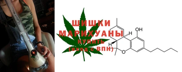 соль ск Бородино
