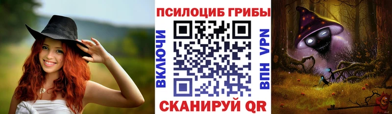 купить наркотики сайты  ссылка на мегу зеркало  Галлюциногенные грибы мицелий  Горно-Алтайск 